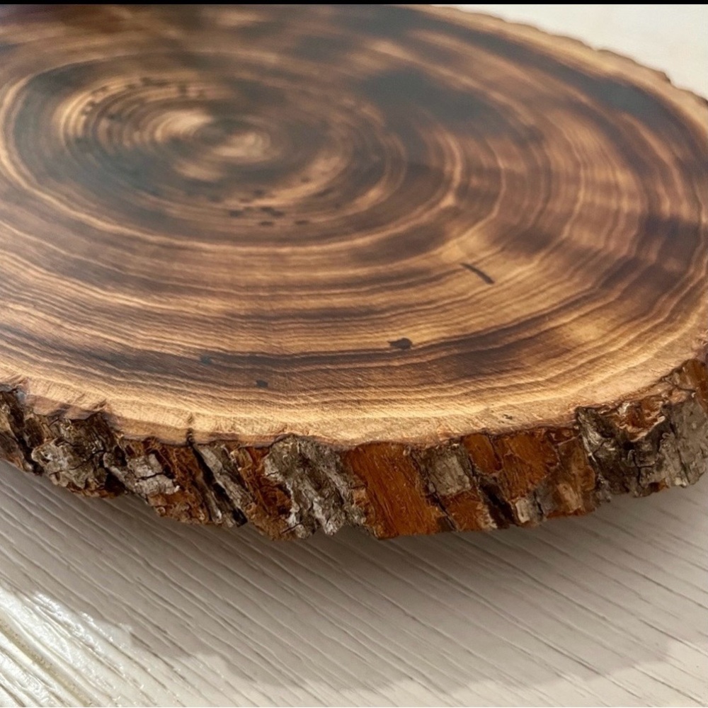 Rustic Wood Slice Riser-Plant Stand-Serving Platter Handmade - Picture 7 of 9